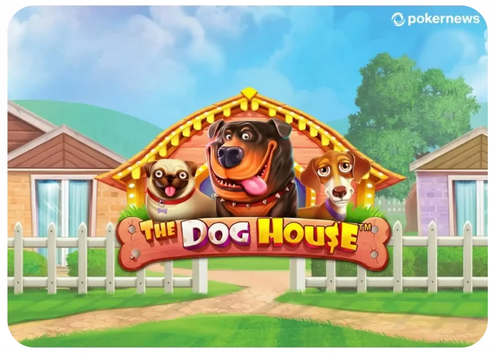 the-dog-house